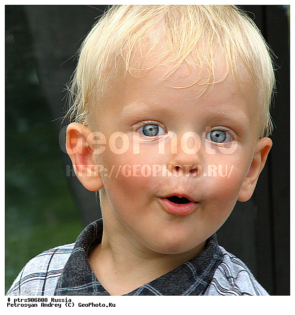 ����, �������