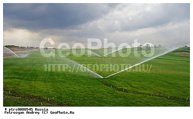 �����, ���� ��� ������