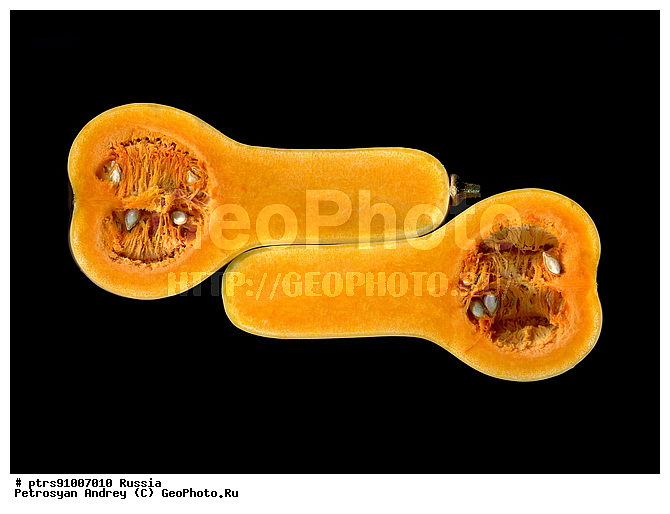 ����, ������, ��������, ���������, �����, ����, �����, ������