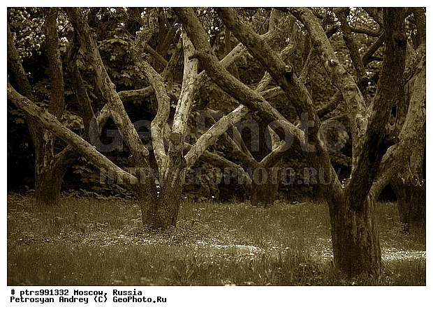 �����������, ������, ������, �, �������, �, ��, �����-�����