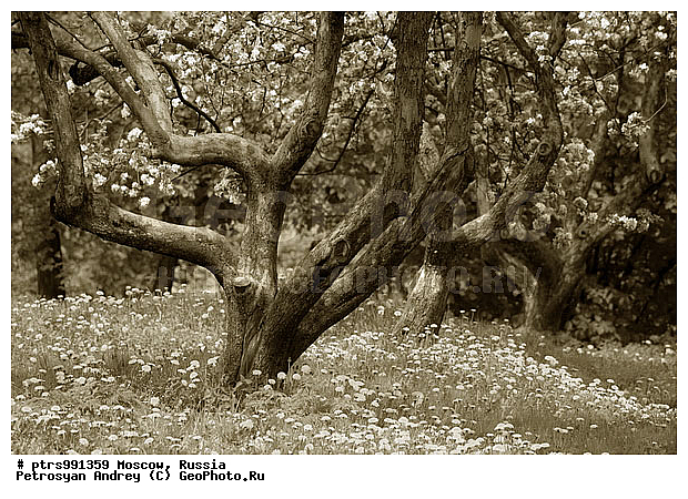 �����������, ������, ������, �, �������, �, ��, �����-�����