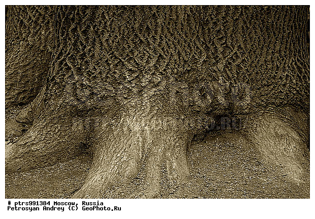 �����������, ������, ������, �, �������, �, ��, �����-�����