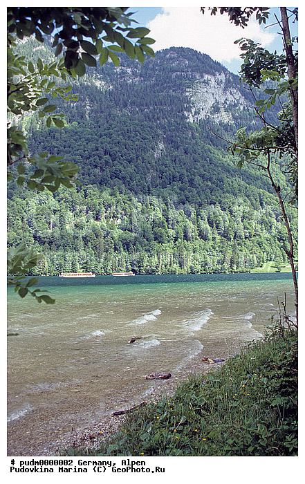 �����, ��������, ����������� ����, ��� �� ���� �������, ������ ��. ����������