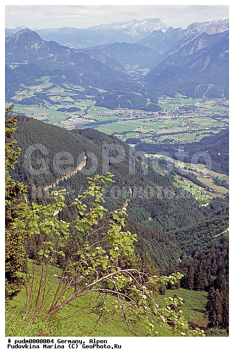 �����, �������, ��������, ����