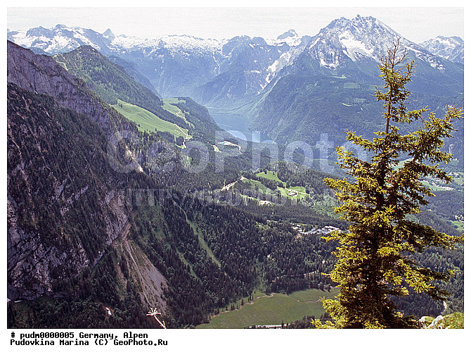 �����, �������, ��������, ����