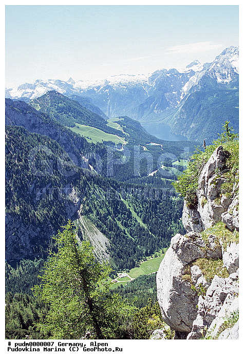 �����, �������, ��������, ����