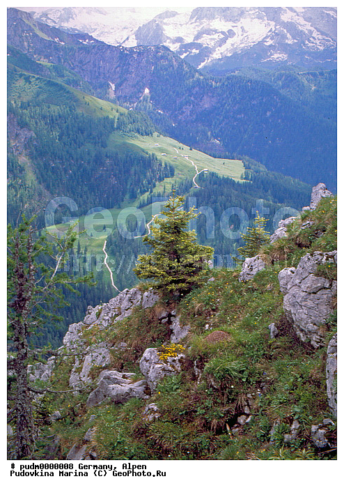 �����, �������, ��������, ����