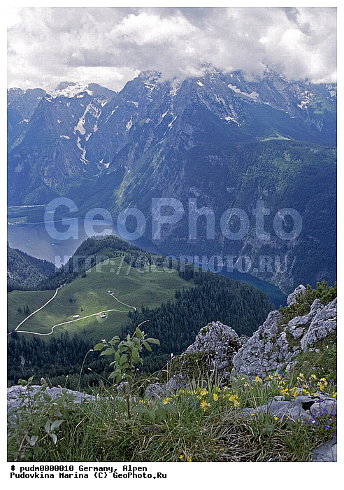 �����, �������, ��������, ����