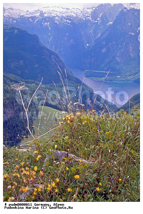 �����, �������, ��������, ����