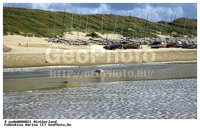 ����, ��������, �����, �������� ����, �����