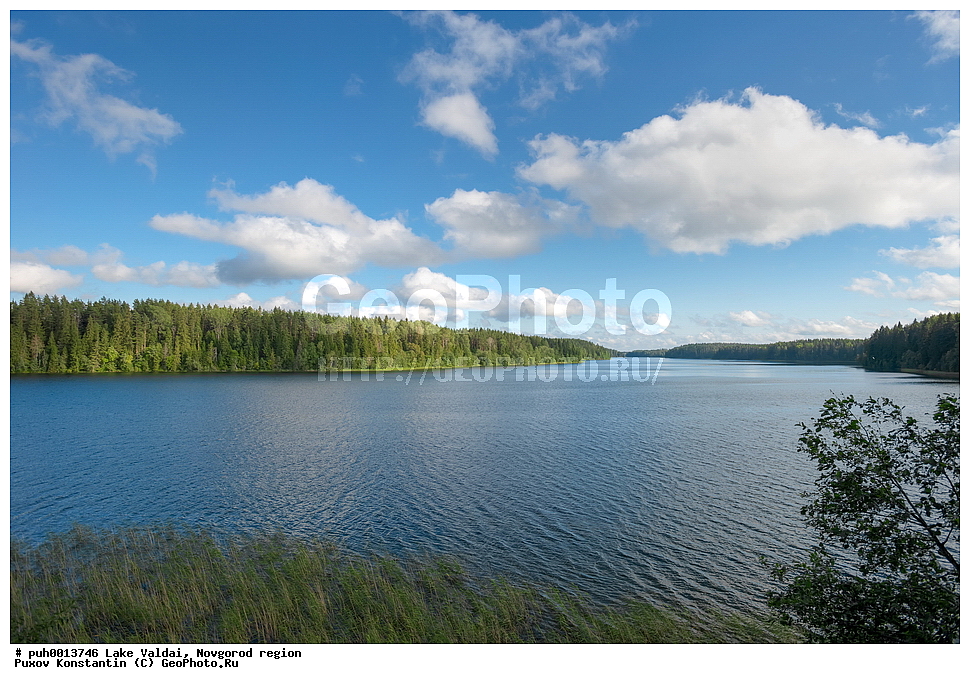 ������, ������������ �������, ������, �����