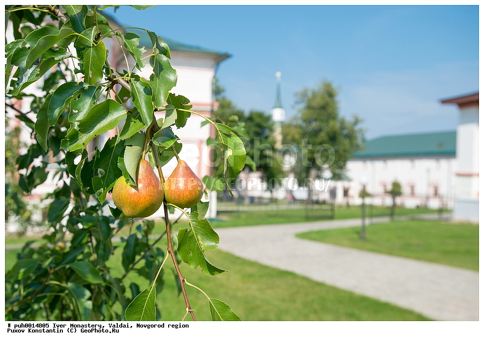 ������, ������������ �������, ������, �������� ���������, ���������, �����������, �����́����� �́������� ������́������ ��������́����� �������́��