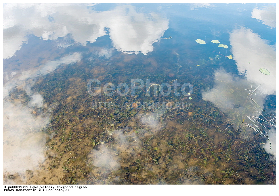 ������, ������������ �������, ������, �����