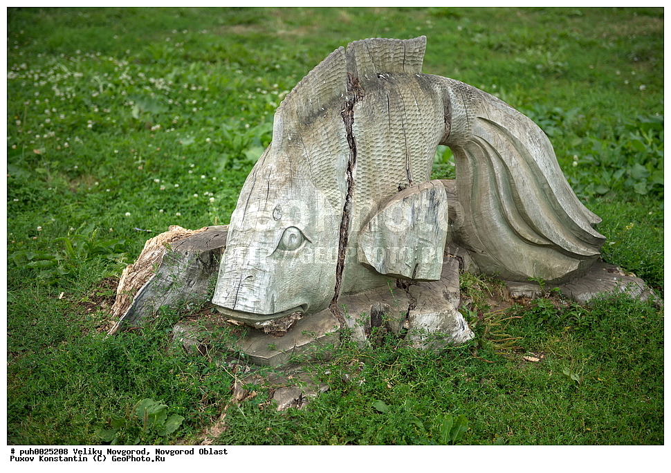 ������� ��������, ������������ �������, ������