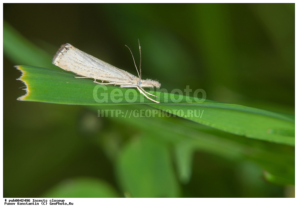 ���������, ��������, ������� ����, ��������������, �������������, ��������������