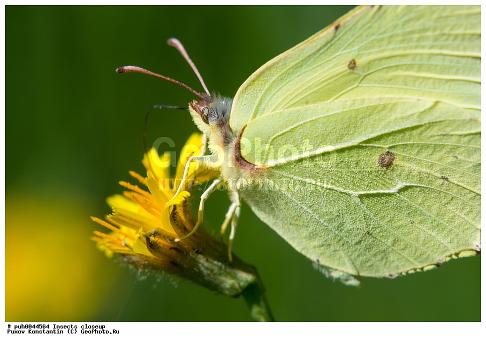 ���������, ��������, ������� ����, ��������������, �������������, ��������������