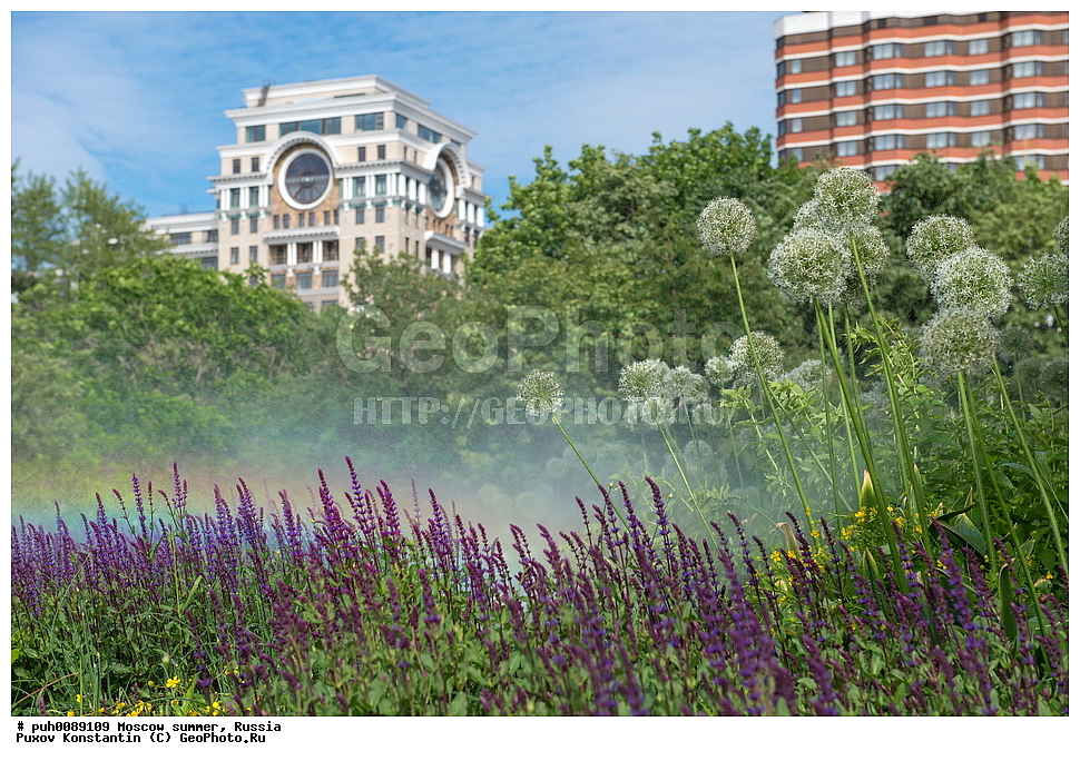 ������, ������, ����, �����������, ����