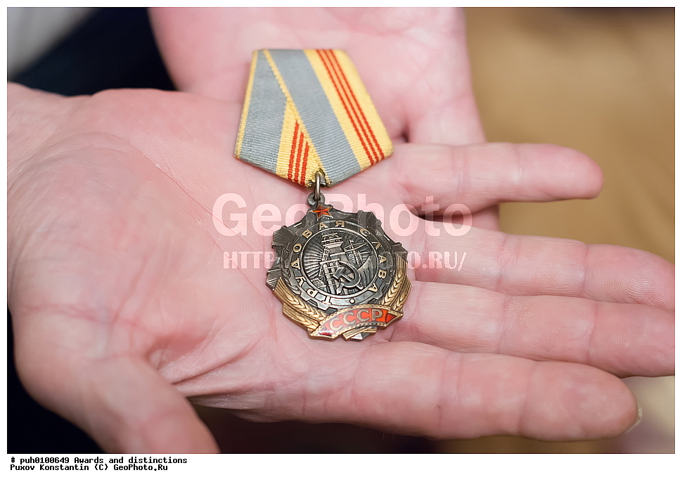 �����, ���� �������, ����, ������, �����, �������