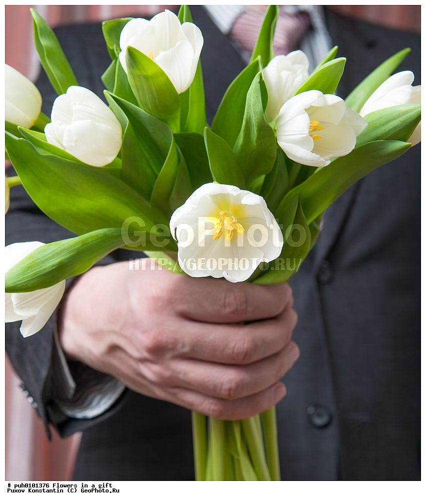 �����, ��������, ����, �������, ��������