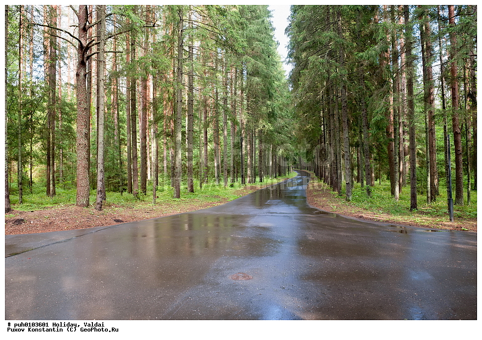 ������, ������������ �������, ������, ��� ������