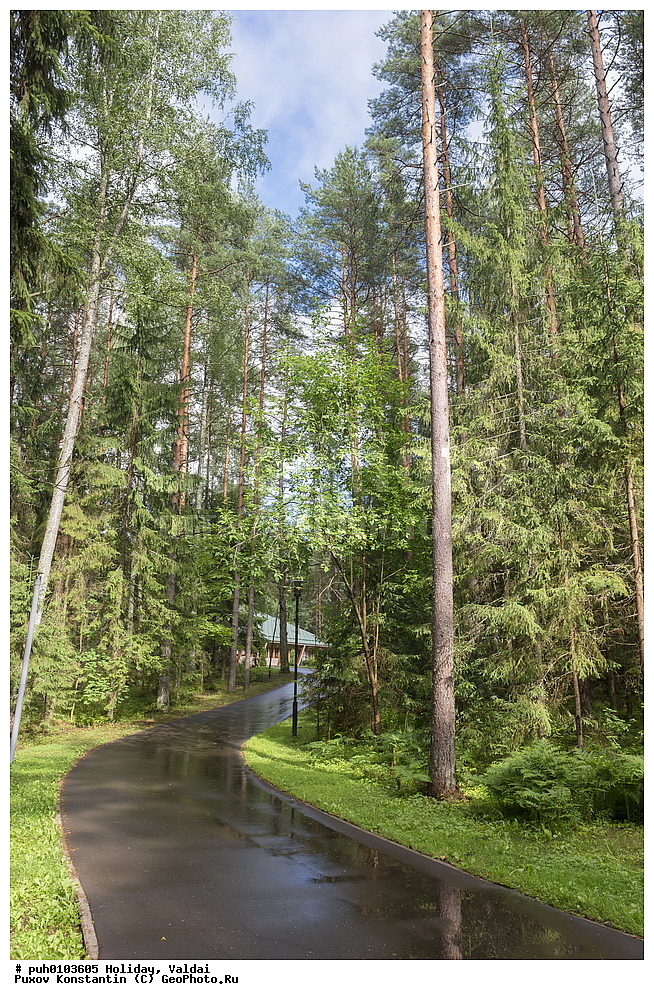 ������, ������������ �������, ������, ��� ������