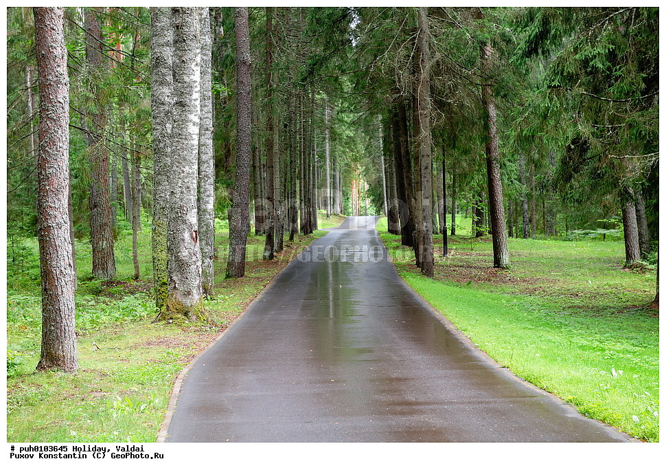 ������, ������������ �������, ������, ��� ������