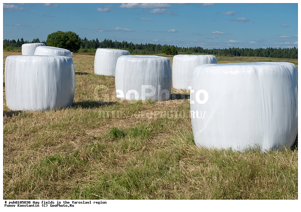 ������ ����, ����, ����, ����������� �������, ������