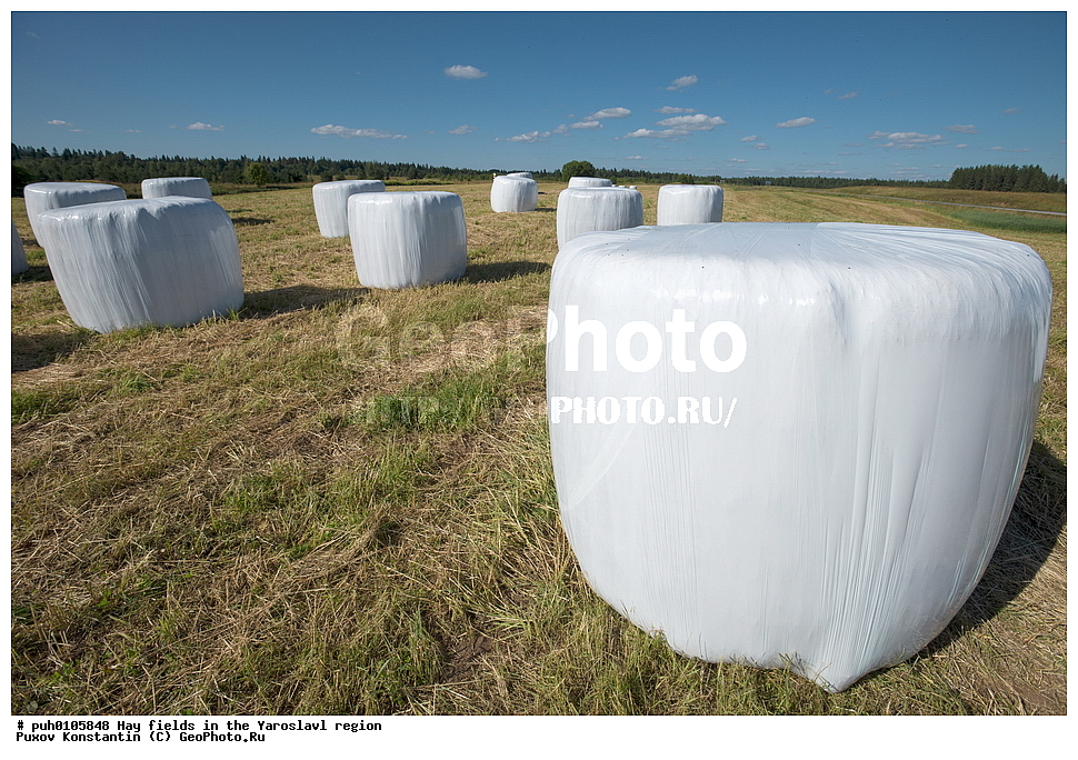 ������ ����, ����, ����, ����������� �������, ������