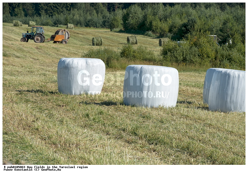 ������ ����, ����, ����, ����������� �������, ������