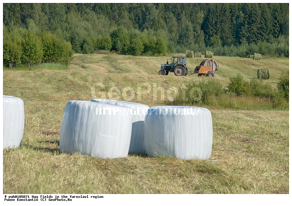 ������ ����, ����, ����, ����������� �������, ������