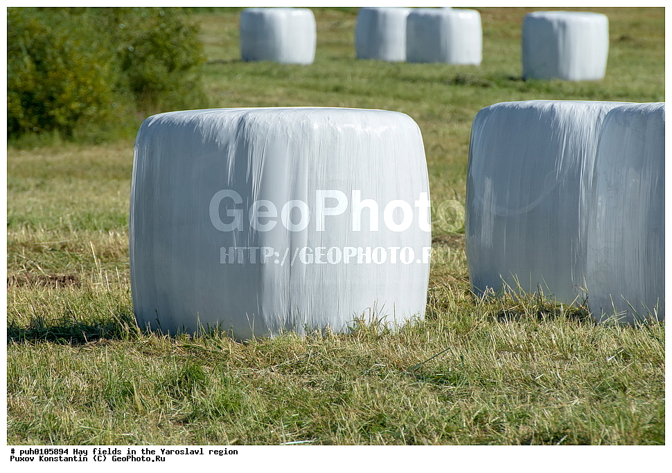 ������ ����, ����, ����, ����������� �������, ������