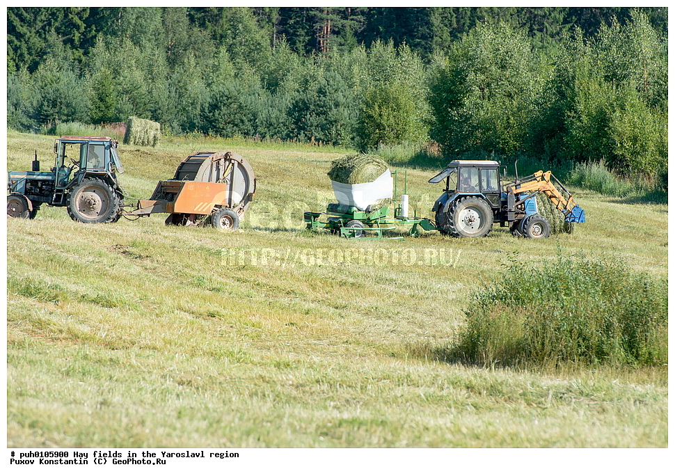 ������ ����, ����, ����, ����������� �������, ������