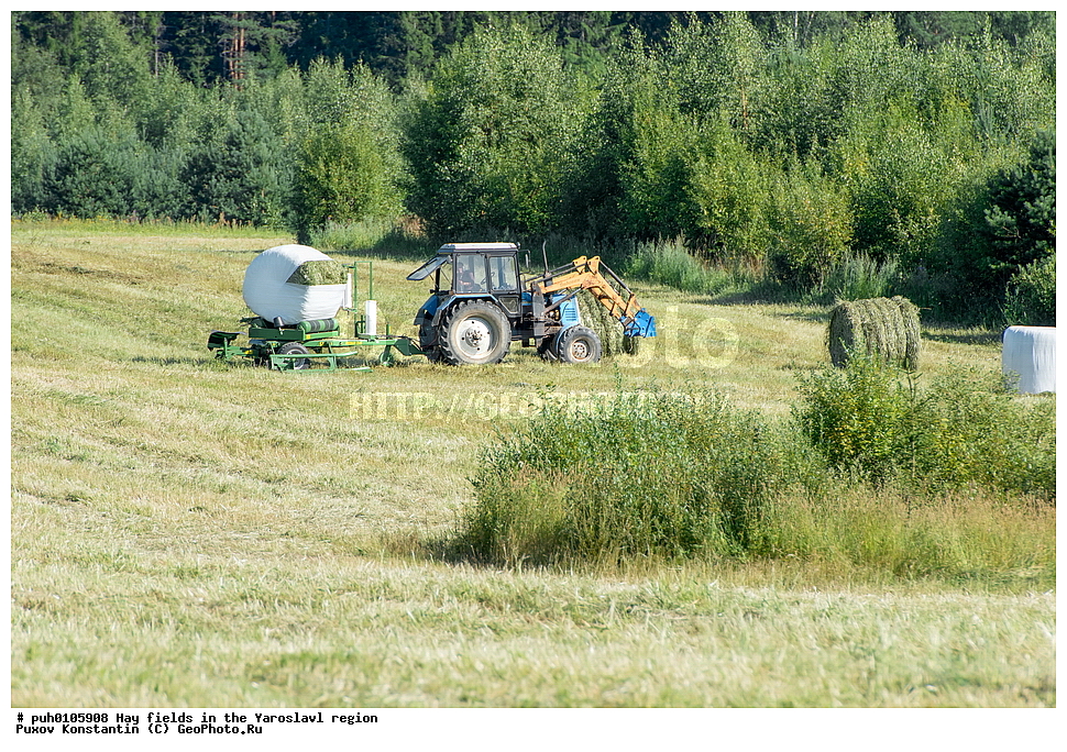 ������ ����, ����, ����, ����������� �������, ������