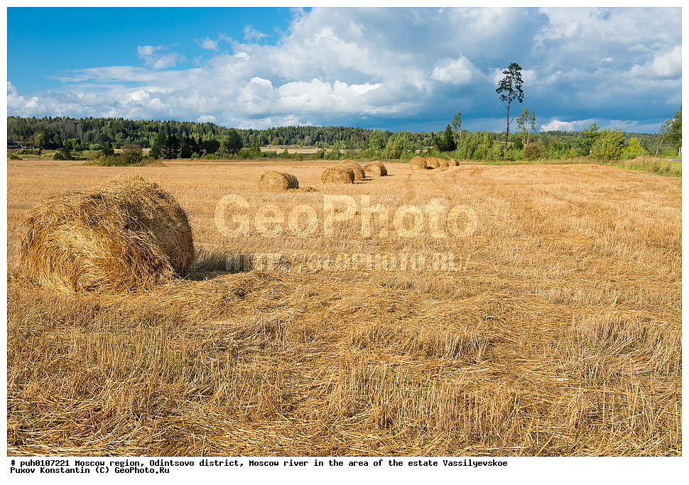 �����������, ����������� �����, ���������� �������, ������, ����, ���� ������, ������� �����������, ����, ����, ������, ��������, �� �����, �����, ������, ���, �����, �����������, ������, �������� ���������, �������, ������, ����, ����, ������, ������, �������, ����, �����, �����, ����, ������, ����, �����, ���������, �����, �������� ���������, �������, ���, ��������, �������, �����, �����, ��������, ����, ����������, ������, �����, ��������, �������, ���, �������, ����, �����, �����, ������