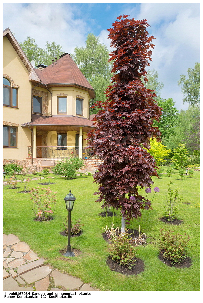 ��������, �����, ������� ��������, ������������ ��������, ���������