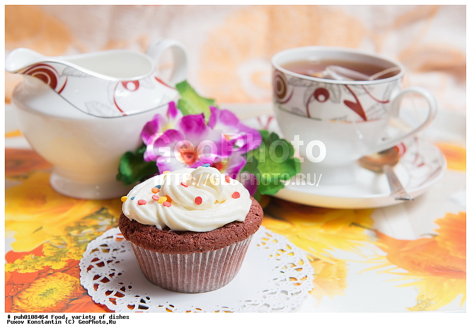 ���, ��������� �����, �����, ������