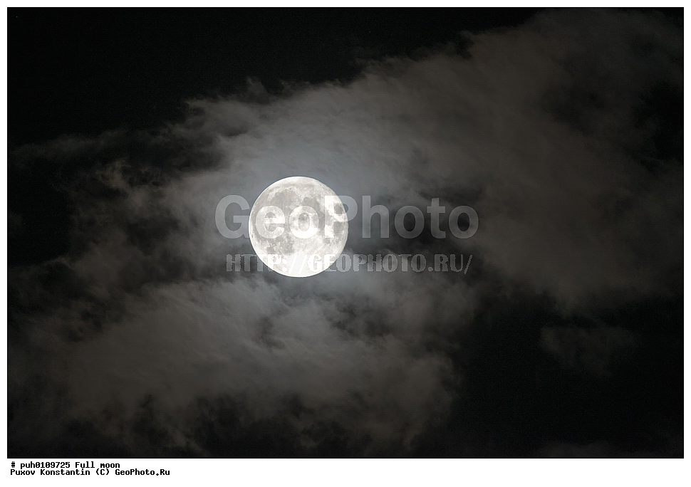 ����, ������, ����, ������ ����, ����