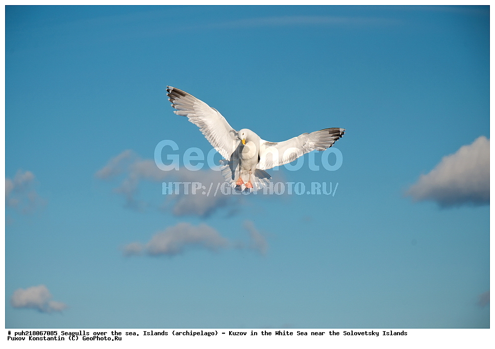  ���������� ���������, ����� ����, ������, ���������,   ����, ������, ���������� ������,  ������� �����, ����, ������� ������, ����������, �����, �����, ����, ������, �������  , �����, ����, �����, �����, ����, �����