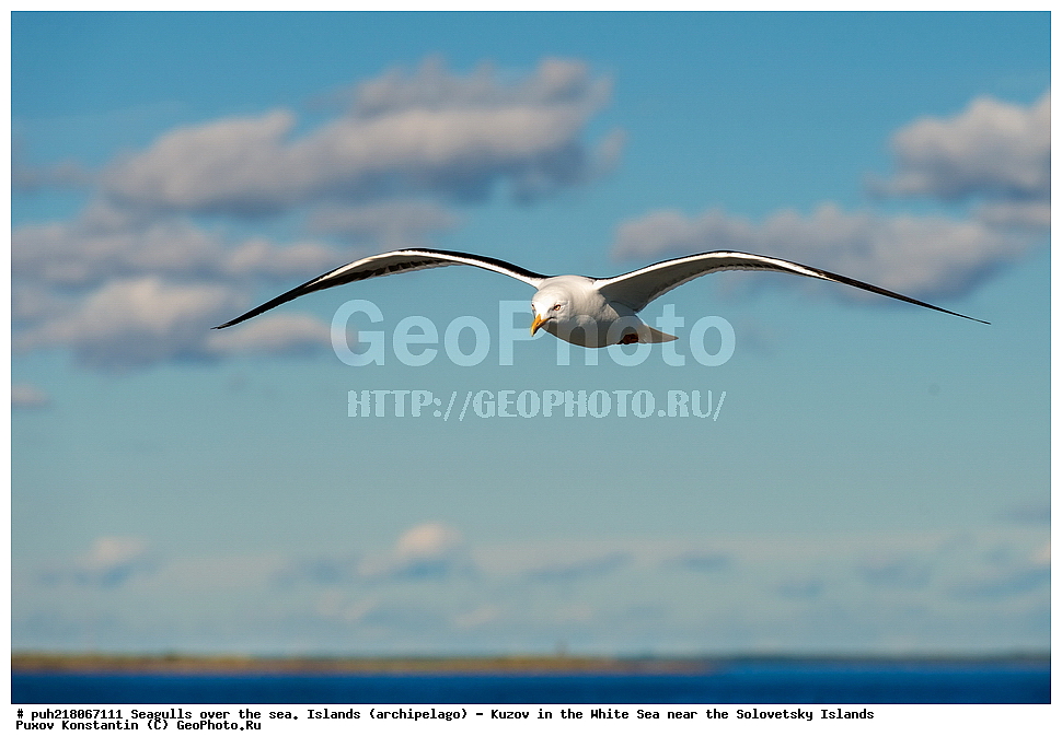  ���������� ���������, ����� ����, ������, ���������,   ����, ������, ���������� ������,  ������� �����, ����, ������� ������, ����������, �����, �����, ����, ������, �������  , �����, ����, �����, �����, ����, �����