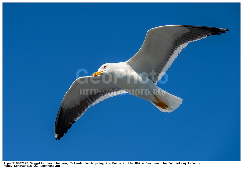  ���������� ���������, ����� ����, ������, ���������,   ����, ������, ���������� ������,  ������� �����, ����, ������� ������, ����������, �����, �����, ����, ������, �������  , �����, ����, �����, �����, ����, �����