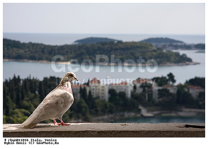 ������, ������, ��������, ������, ����, �����, ������, �����������, ������