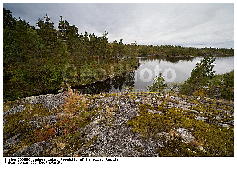 �������, ������, ������, �����, ��������� ������, ����, ������, �����, ���������, ������������ �������, ����, ����, �����, ������, �������, �������, �����������, �����, �����, ������, �����