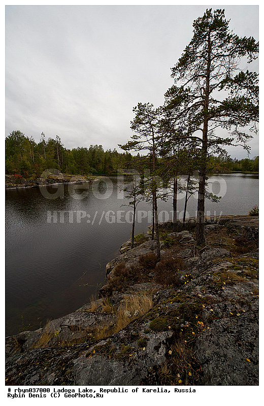 �������, ������, ��������� �����, ������, �����, ��������� ������, ����, ������, �����, ���������, ������������ �������, ����, ����, �����, ������, �������, ������, �������, �����������, �����, ������, �����