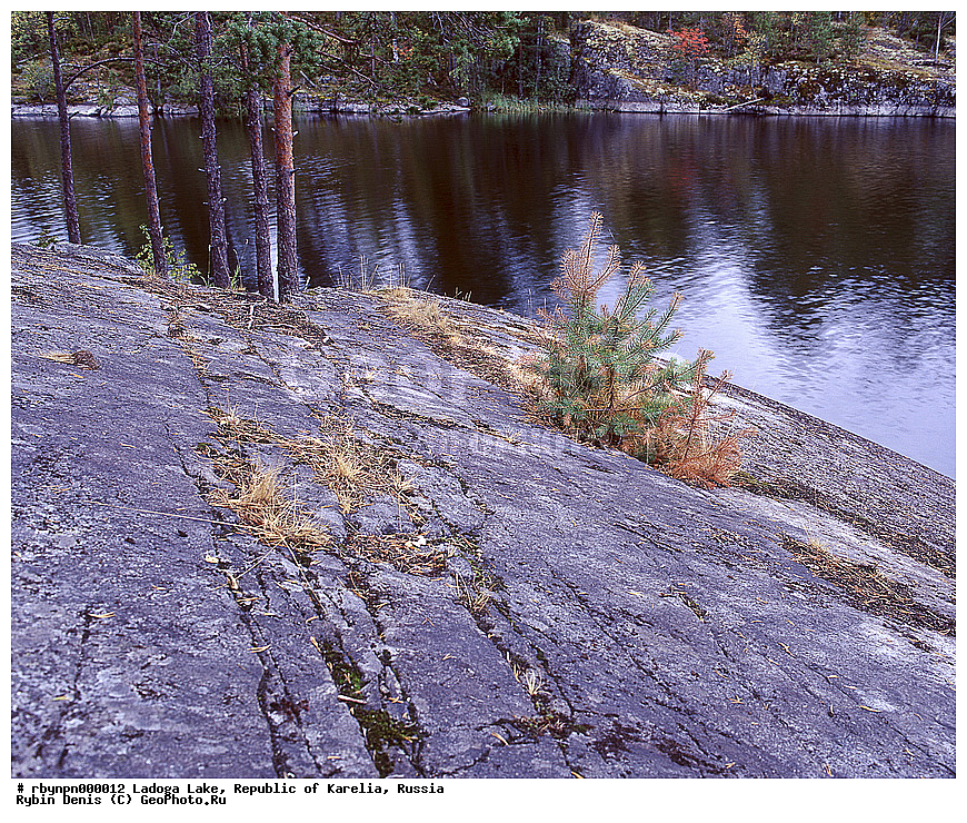 �������, ������, ��������� �����, ������, �����, ��������� ������, ����, ������, �����, ���������, ������������ �������, ����, ����, �����, ������, �������, ������, ������, �������, �����������, �����, ������, �����