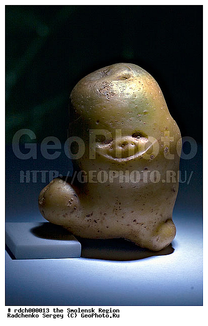 ���������, ������, ���������, ���������, �����, ����������������