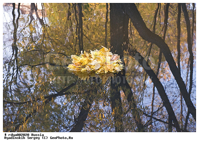 ������, ������, ��������, ����, �������, ������, ������� ������, �����, ���������, ����, ������, ����