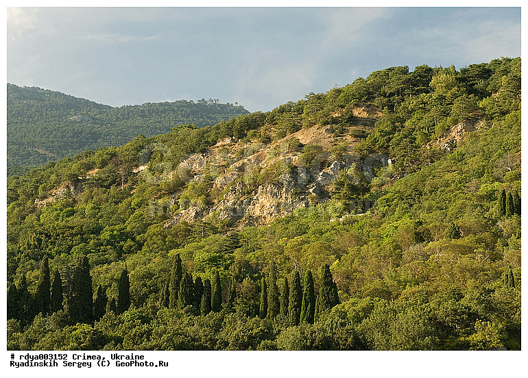 ����, ����, �����, ������ ������, ����, ����, ������� ���� ����, ������� ������, ��� �������, ������� ������, �����