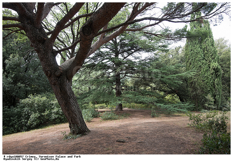 ����, ������, ������������ ����, �������� �������, ����� ����� �����, �����, �����, ��������