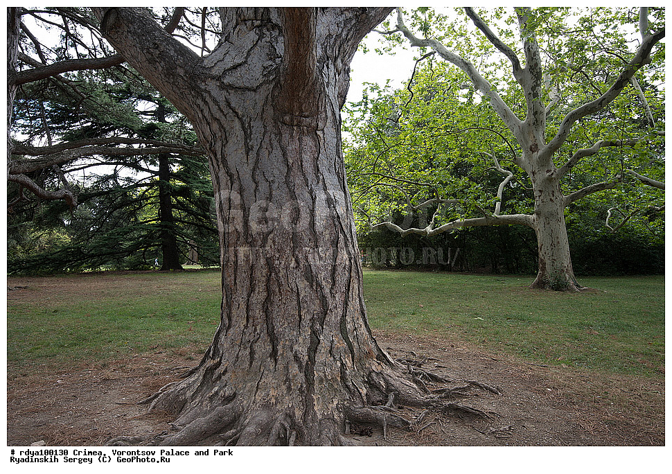 ����, ������, ������������ ����, �������� �������, ����� ����� �����, �����, ����� 