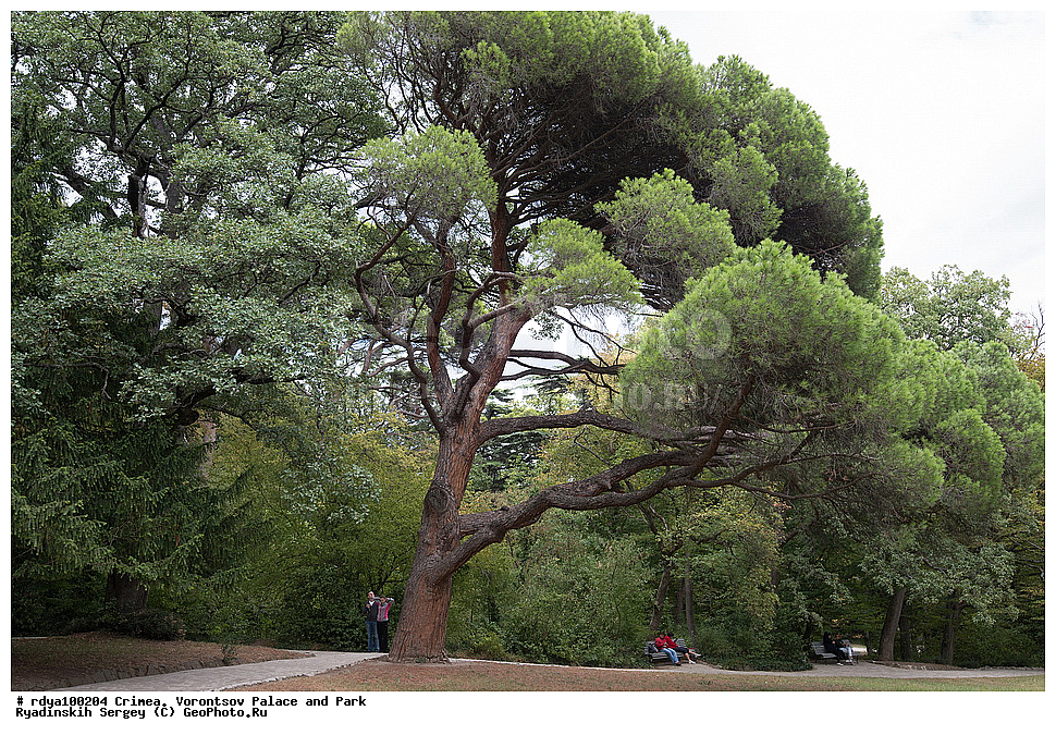 ����, ������, ������������ ����, �������� �������, ����� ����� �����, �����, �����, ��������� ������, ����������� ����� 